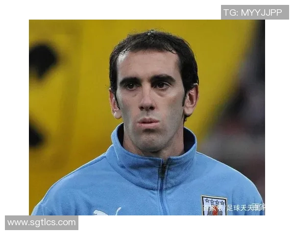 强壮型足球球星的身体素质与竞技表现分析：从技术到力量的全面探讨